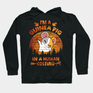 Guinea Pig Halloween Costumes (16) Hoodie